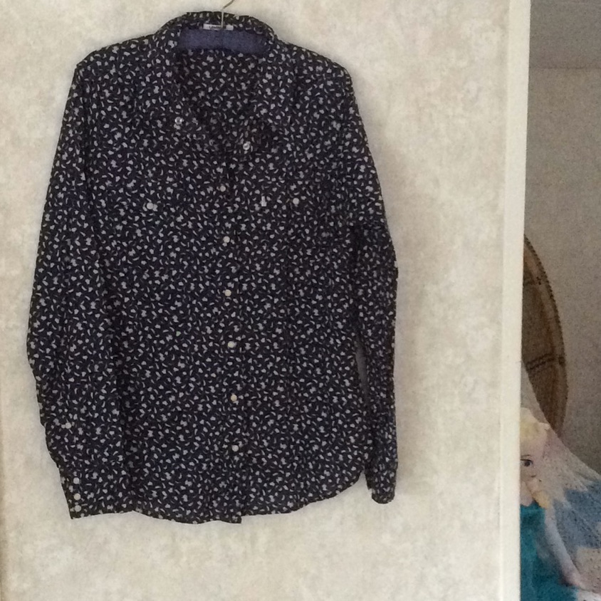 Levis Blouse Euc